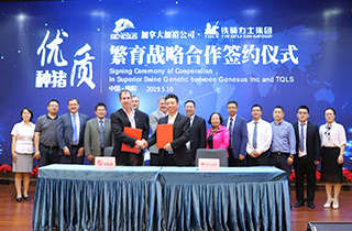 中国电子游艺网站下载安装
