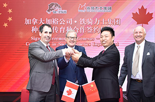 中国电子游艺网站下载安装
