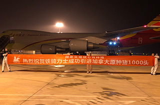 中国电子游艺网站下载安装
