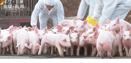 中国电子游艺网站下载安装
