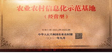 中国电子游艺网站下载安装
