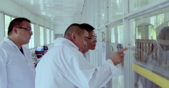 中国电子游艺网站下载安装
