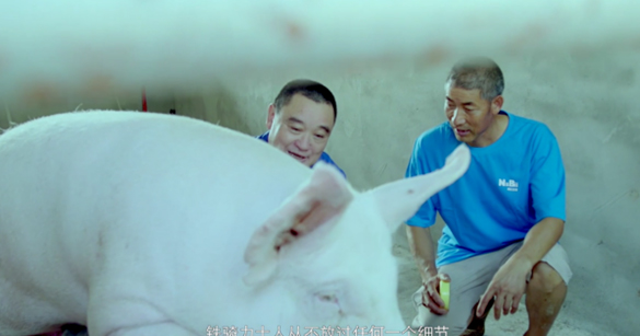 中国电子游艺网站下载安装
