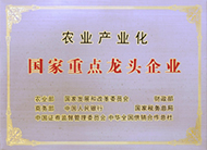 中国电子游艺网站下载安装
