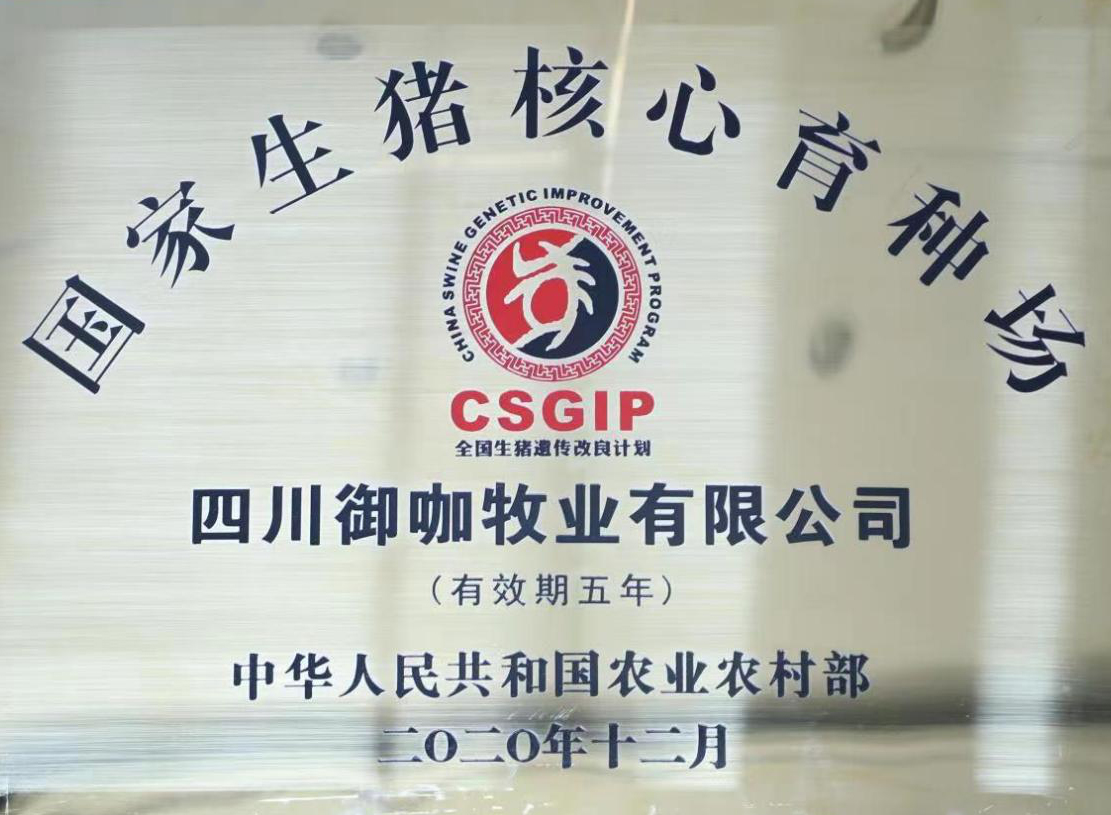 中国电子游艺网站下载安装
