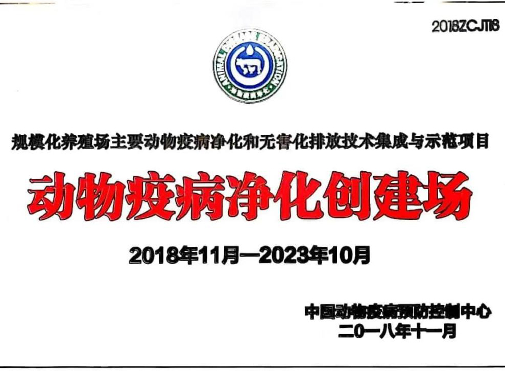 中国电子游艺网站下载安装
