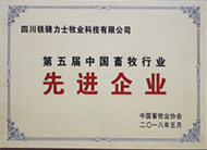 中国电子游艺网站下载安装
